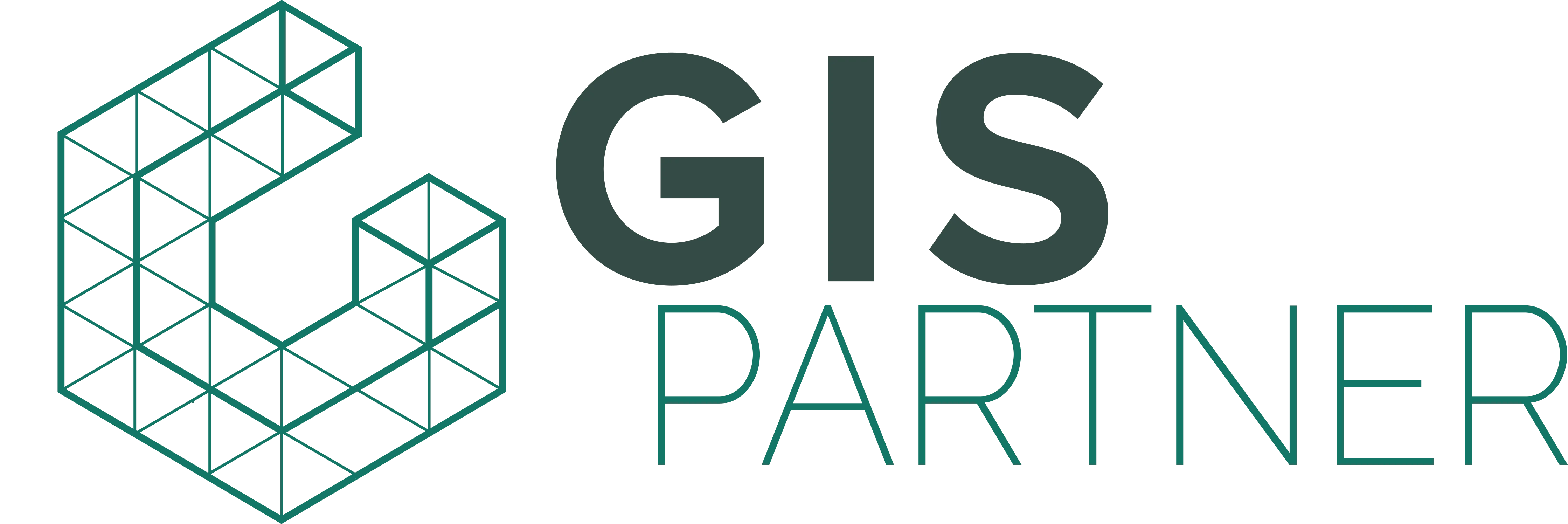 GIS Partner